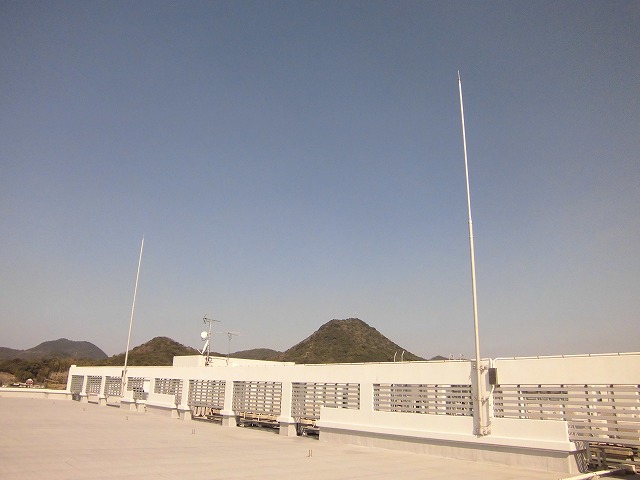 CIMG5551